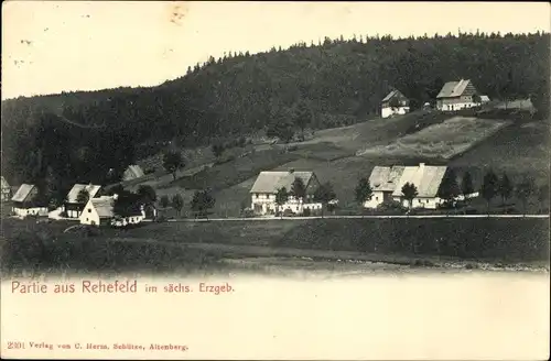 Ak Rehefeld Zaunhaus Altenberg im Erzgebirge, Teilansicht, Wald