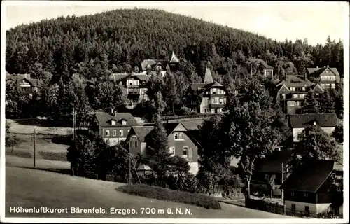 Ak Bärenfels Altenberg im Erzgebirge, Teilansicht, Nr. 46