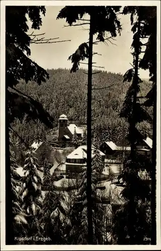 Ak Kipsdorf Altenberg im sächsischen Erzgebirge, Durchblick zum Ort aus dem Wald heraus