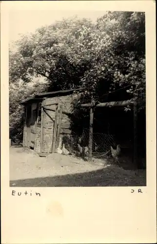 Foto Ak Eutin in Ostholstein, Ortspartie, Hühnerstall