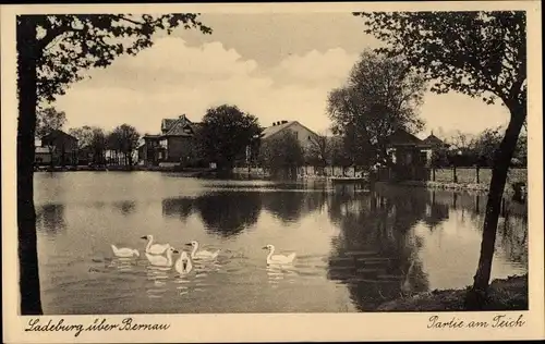 Ak Ladeburg Bernau bei Berlin, Partie am Teich