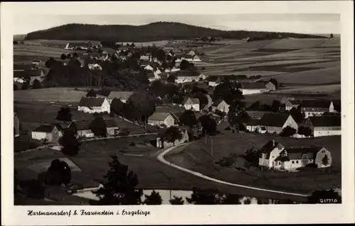 Ak Hartmannsdorf Reichenau im Erzgebirge, Panorama