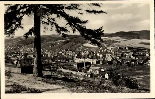 Ak Olbernhau im Erzgebirge, Panorama vom Hainberg