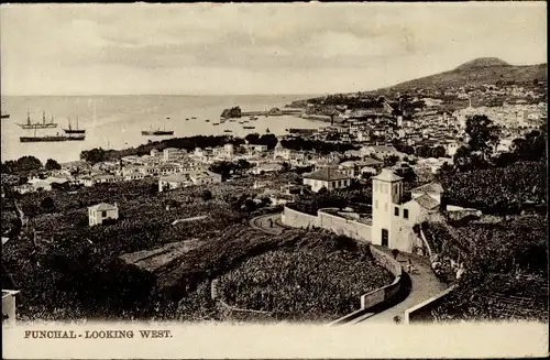 Ak Funchal Insel Madeira Portugal, Looking West