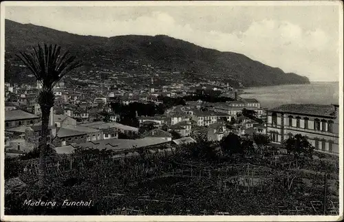 Ak Funchal Insel Madeira Portugal, Panorama