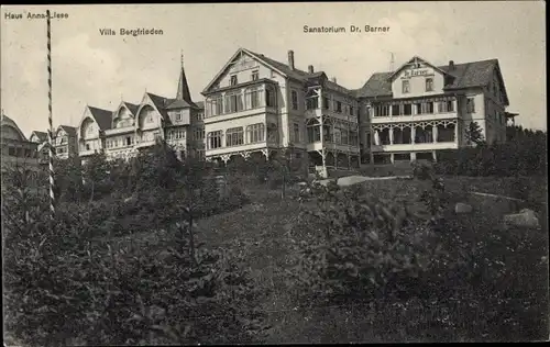 Ak Braunlage im Oberharz, Haus Anna Liese, Villa Bergfrieden, Sanatorium Dr. Barner