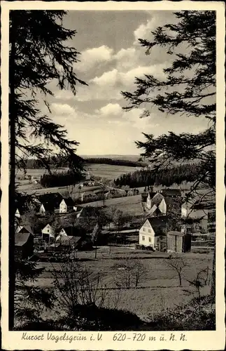 Ak Vogelsgrün Auerbach im Vogtland, Gesamtansicht