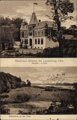 Ak Glüsing Schnakenbek in Schleswig Holstein, Waldhaus Glüsing, Waldwiese an der Elbe