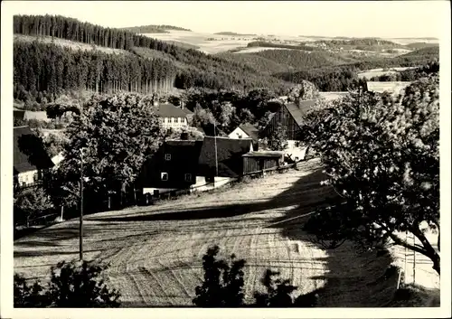 Ak Falkenhain Altenberg im Osterzgebirge, Teilansicht, Wald