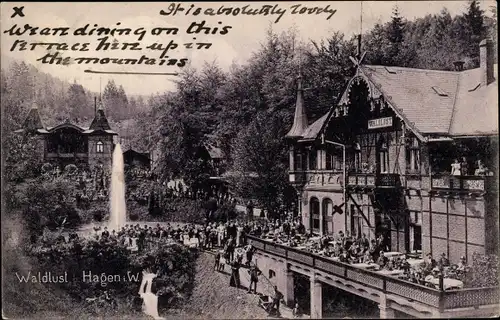 Ak Hagen in Westfalen, Waldlust