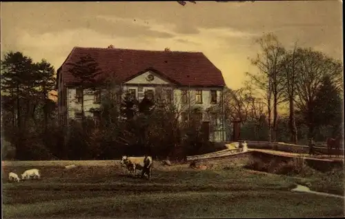 Ak Bad Rothenfelde am Teutoburger Wald, Oberförsterei Palsterkamp, Kühe, Schafe