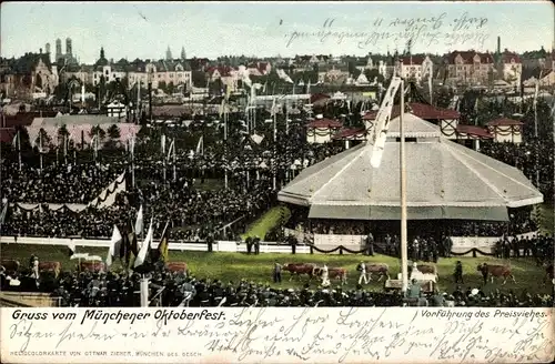 Ak München Bayern, Oktoberfest, Vorführunf des Preisviehes