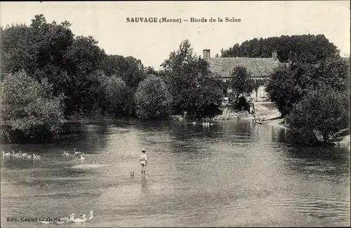 Ak Sauvage Marne, Bords de la Seine