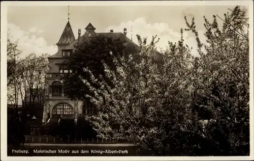 Ak Freiberg in Sachsen, Partie im König Albert Park