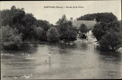 Ak Sauvage Marne, Bords de la Seine