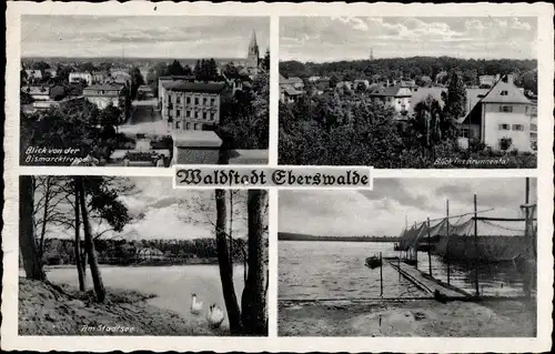 Ak Eberswalde im Kreis Barnim, Teilansichten, Schwäne auf dem Stadtsee