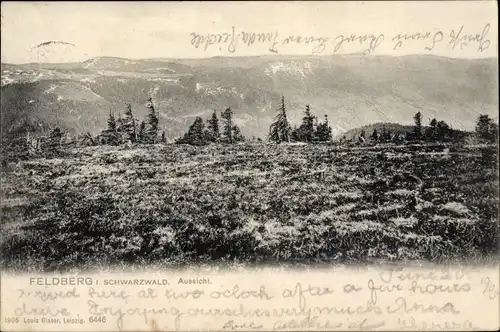 Ak Feldberg im Schwarzwald, Landschaftsblick