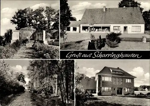 Ak Scharringhausen Kirchdorf bei Sulingen, Kriegerdenkmal, Gemischtwarenladen, Waldpartie