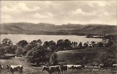 Ak Windermere Cumbria North West England, Windermere from Loweed