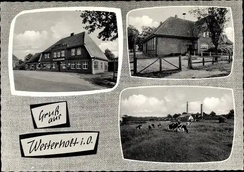 Ak Westerholt Wittmund Niedersachsen, Gasthof, Backsteinhaus, Kühe auf der Weide