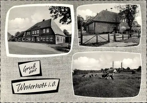 Ak Westerholt Wittmund Niedersachsen, Gasthof, Backsteinhaus, Kühe auf der Weide