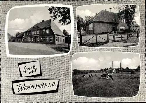 Ak Westerholt Wittmund Niedersachsen, Gasthof, Backsteinhaus, Kühe auf der Weide