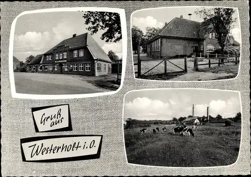 Ak Westerholt Wittmund Niedersachsen, Gasthof, Backsteinhaus, Kühe auf der Weide