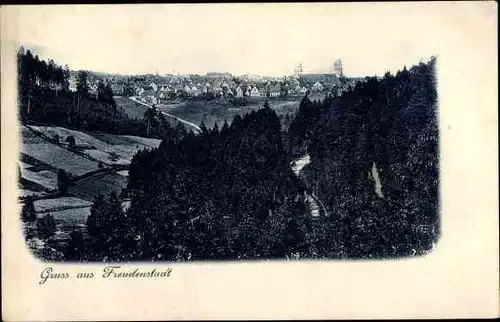 Ak Freudenstadt im Nordschwarzwald, Panorama