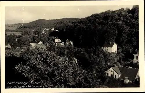 Ak Falkenberg in der Mark, Teilansicht, Sommerfrische