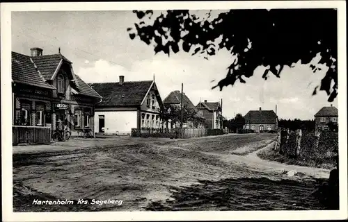 Ak Hartenholm Schleswig Holstein, Partie an der Dorfstraße, unbefestigt, Gasthof Elbschloss