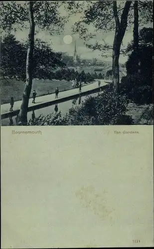 Mondschein Ak Bournemouth Dorset South West England, The Gardens