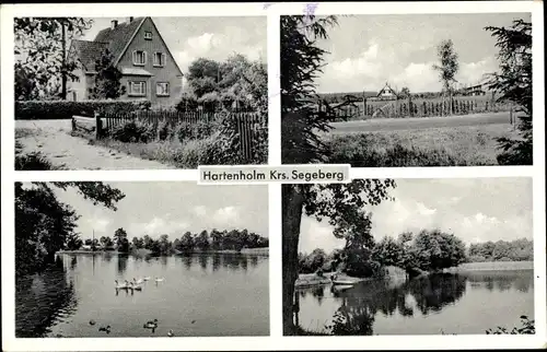 Ak Hartenholm Schleswig Holstein, Haus mit Garten, Straßenansicht, Wasserpartie, Enten