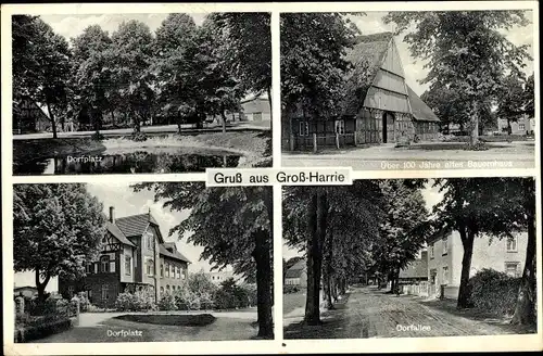 Ak Großharrie in Schleswig Holstein, Dorfplatz, Altes Bauernhaus, Dorfallee