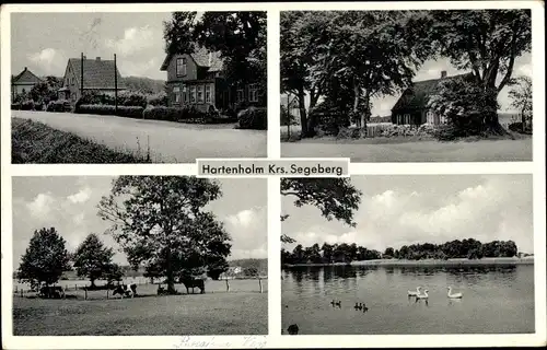 Ak Hartenholm Schleswig Holstein, Schwanenteich, Straßenpartie