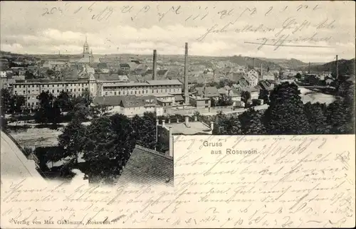 Ak Roßwein in Sachsen, Panorama vom Ort mit Fluss, Schornsteine