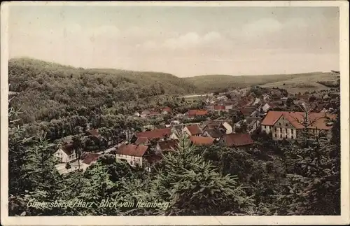 Ak Güntersberge Harzgerode am Harz, Panoramablick vom Heimberg