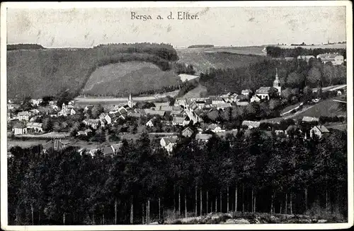 Ak Berga an der Elster Thüringen, Gesamtansicht