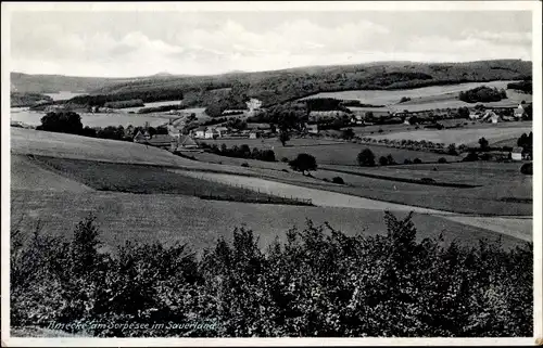 Ak Amecke Sundern im Sauerland, Gasthof Berghoff, Häuser, Felder