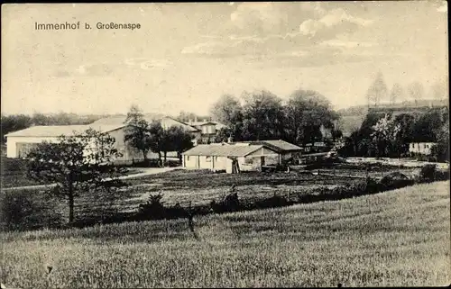 Ak Immenhof Großenaspe in Holstein, Blick auf den Ort