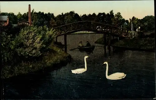 Ak Bad Bramstedt in Holstein, Matthiasbad, Park, Schwäne, Brücke