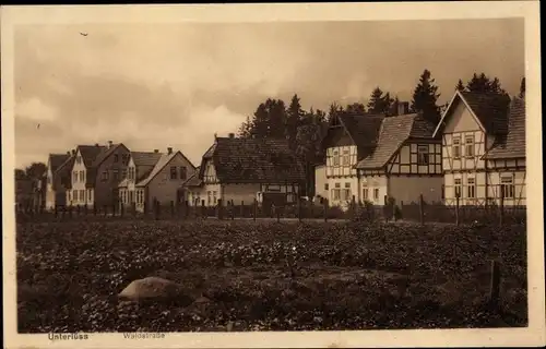 Ak Unterlüß Südheide Niedersachsen, Waldstraße