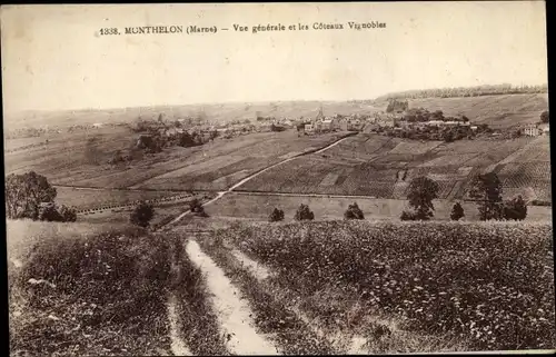 Ak Monthelon Marne, Vue generale et les Coteaux Vignobles