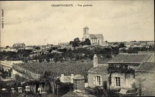 Ak Champtoceaux Maine-et-Loire, Vue générale