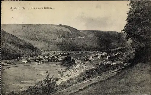 Ak Calmbach Bad Wildbad im Schwarzwald, Blick vom Kälbling