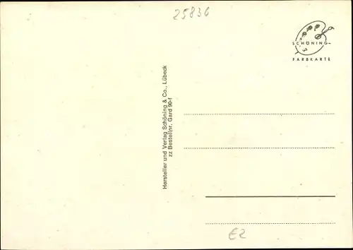 Ak Garding in Nordfriesland, Gesamtansicht, Strassenansichten