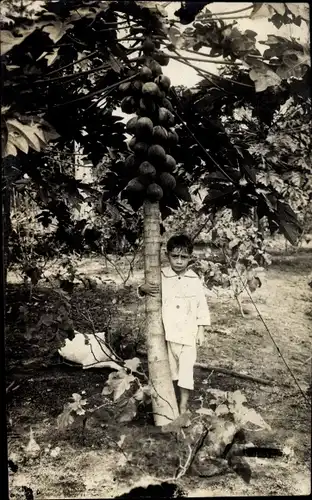 Foto Ak Junge neben einem Baum, Palme