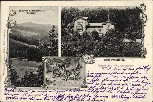 Ak Waltershausen in Thüringen, Baldrichstein, Hotel Philippshöhe, Hirsche