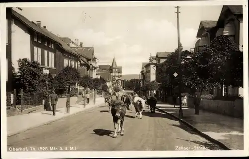 Ak Oberhof im Thüringer Wald, Zellaer Straße