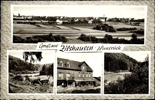 Ak Zilshausen in Rheinland Pfalz, Gasthaus, Pension, Panorama, Rehe