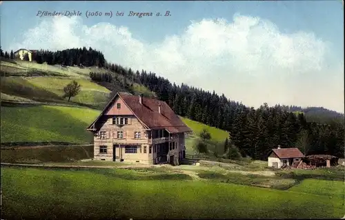 Ak Bregenz am Bodensee Vorarlberg, Pfänder Dohle